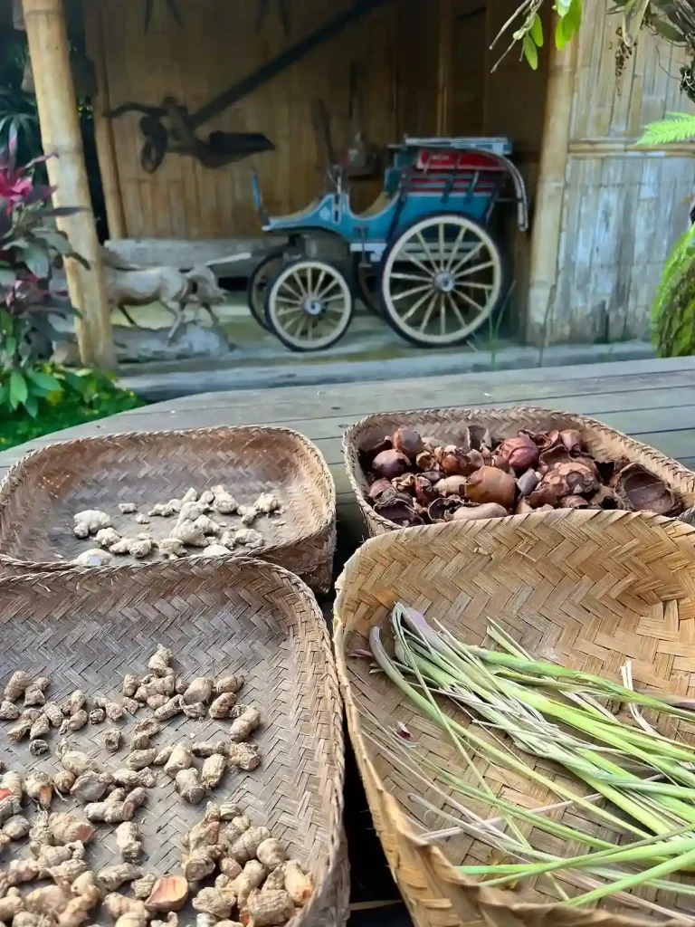 Trays of roasted beans, cacao and spices set out at a Bali coffee plantation