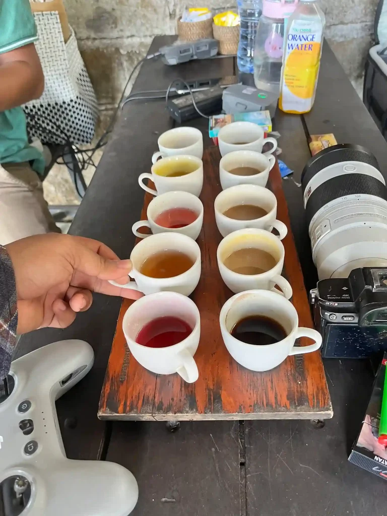 Small cups of coffee and cacao lined up on a wooden board for a tasting flight near Ubud